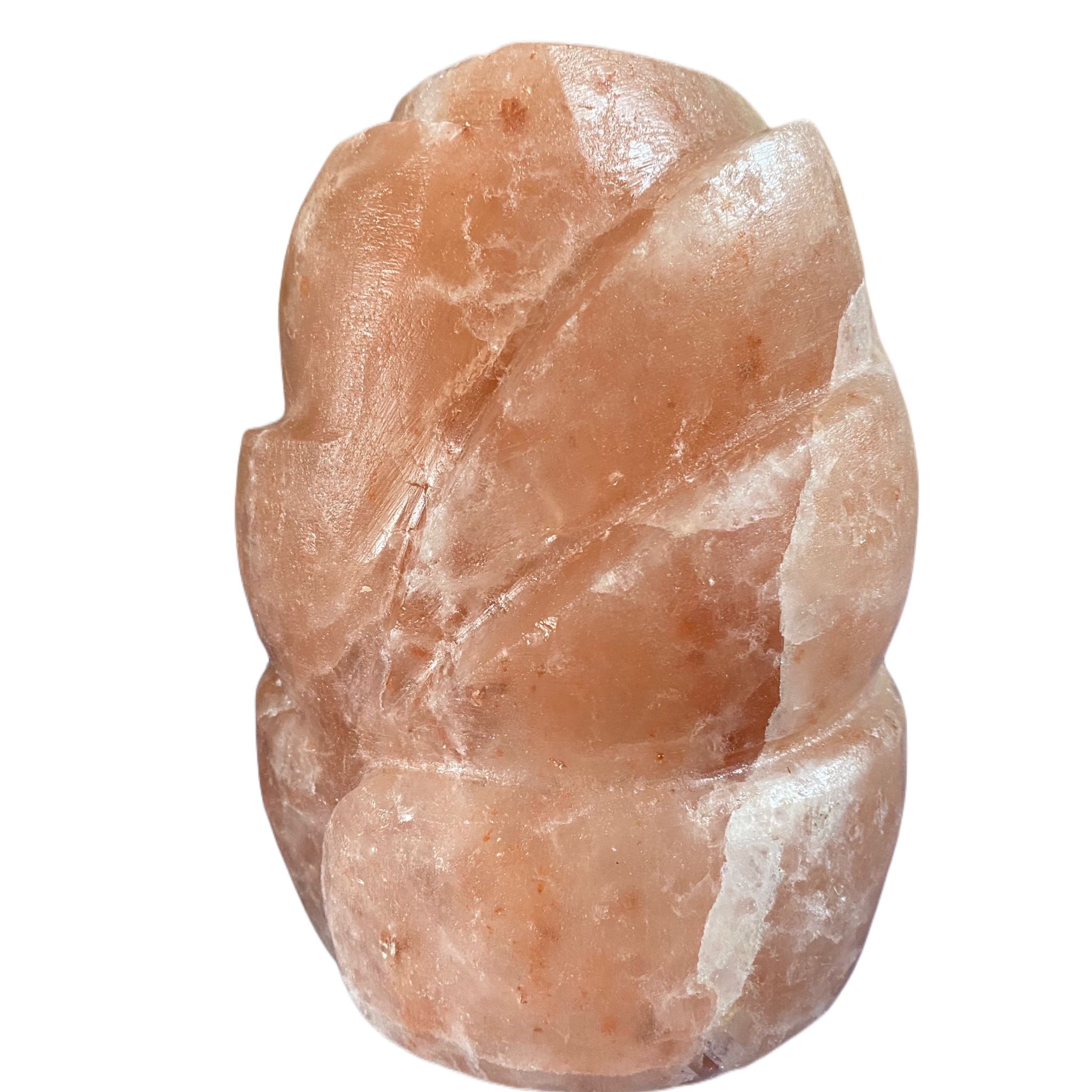 Lampada fiore scultura