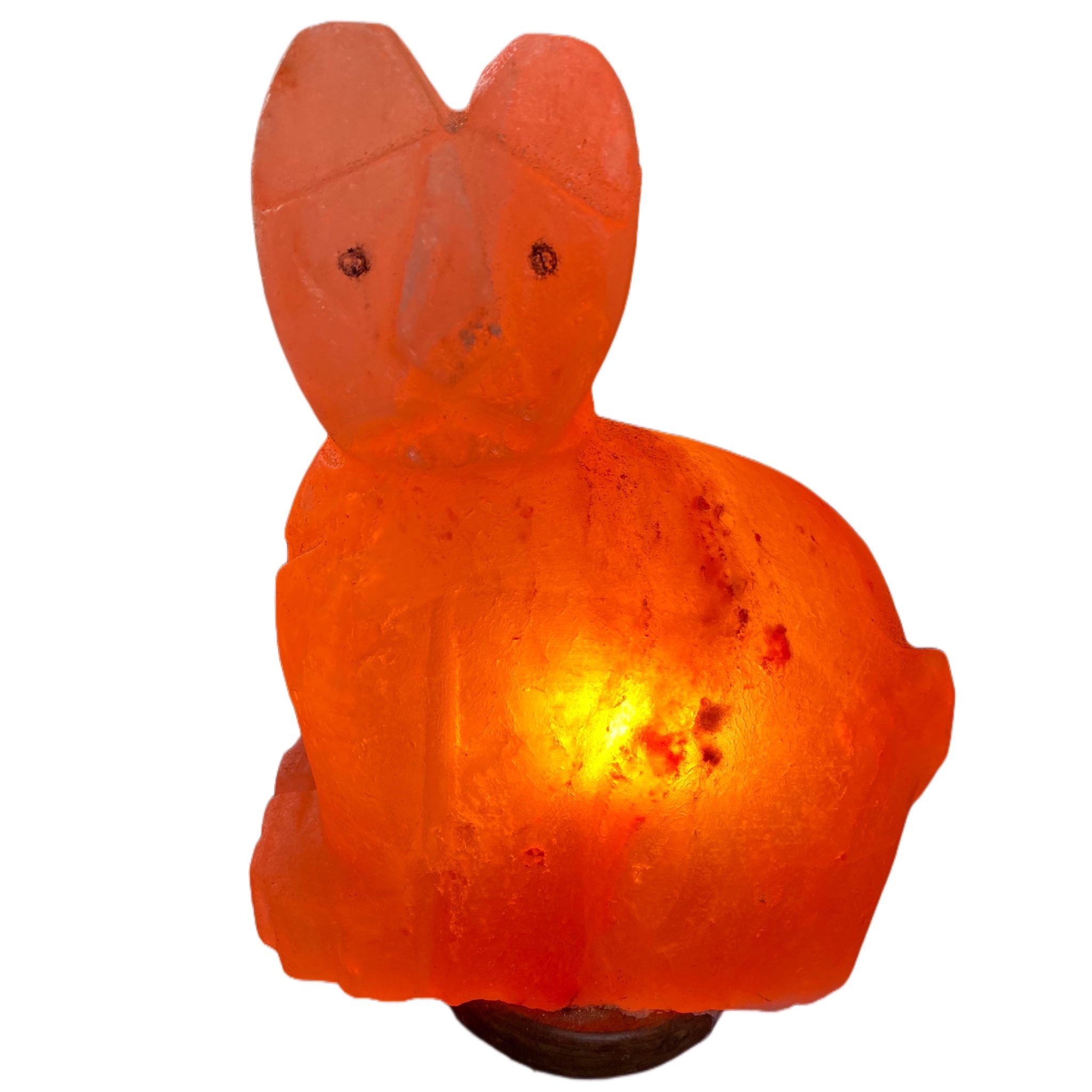 Lampada Gatto, luce per cameretta