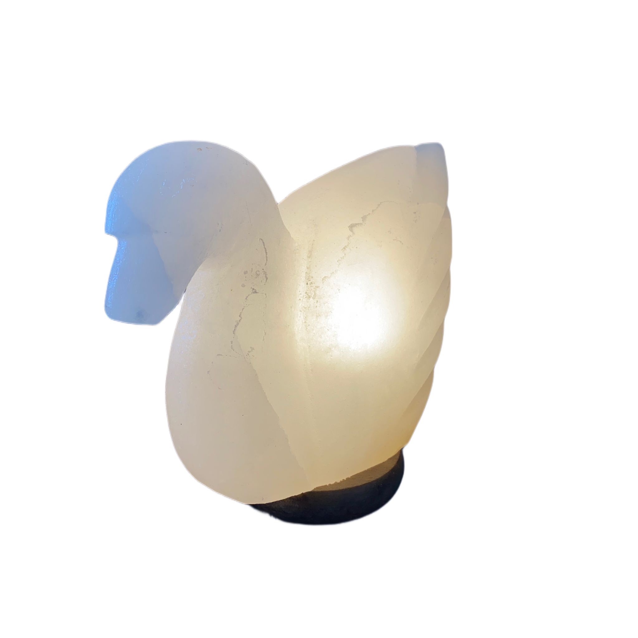 Lampada cigno Abat-jour