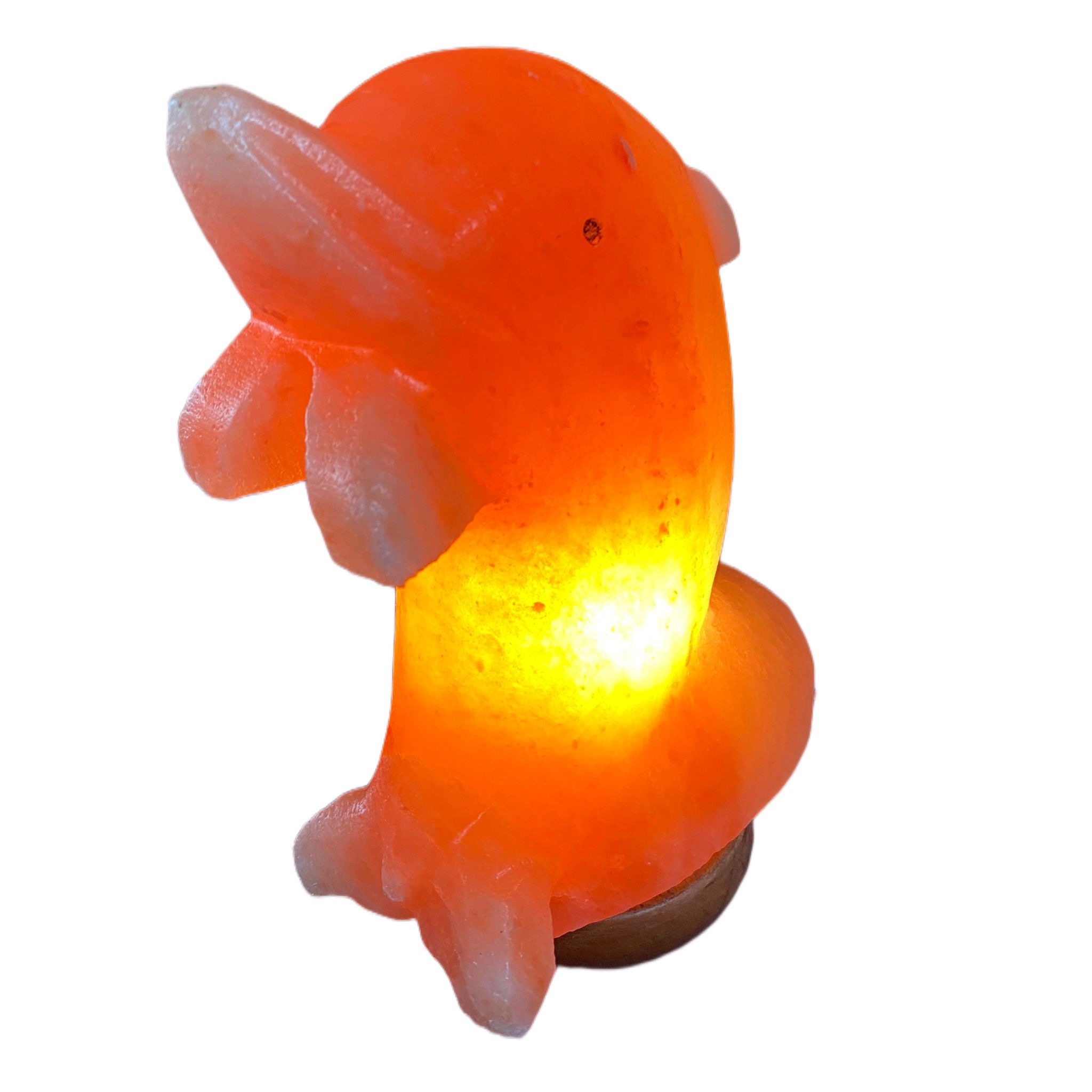 Lampada Delfino lampada camera bimbo