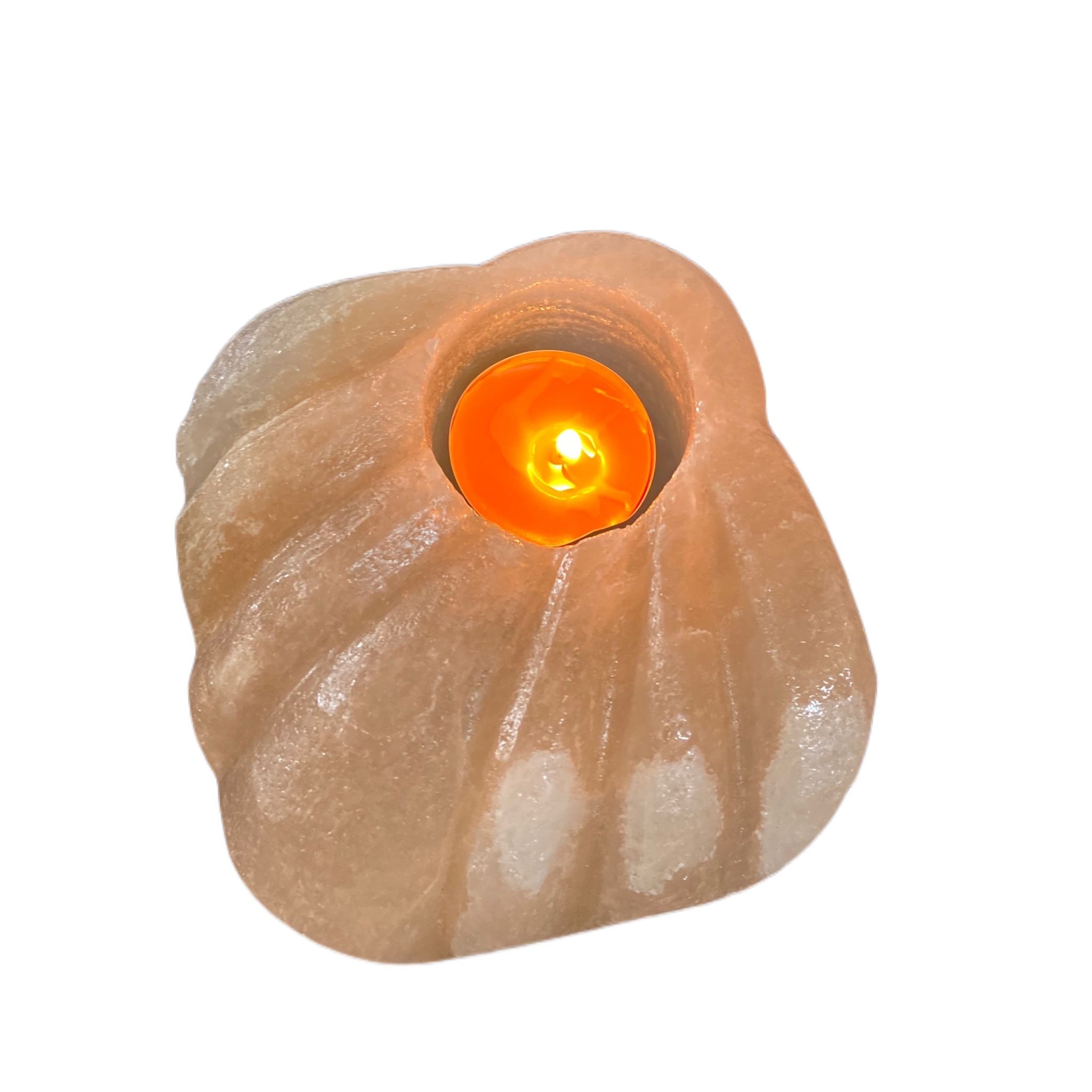 Portacandele conchiglia sale bianco - immagine 2