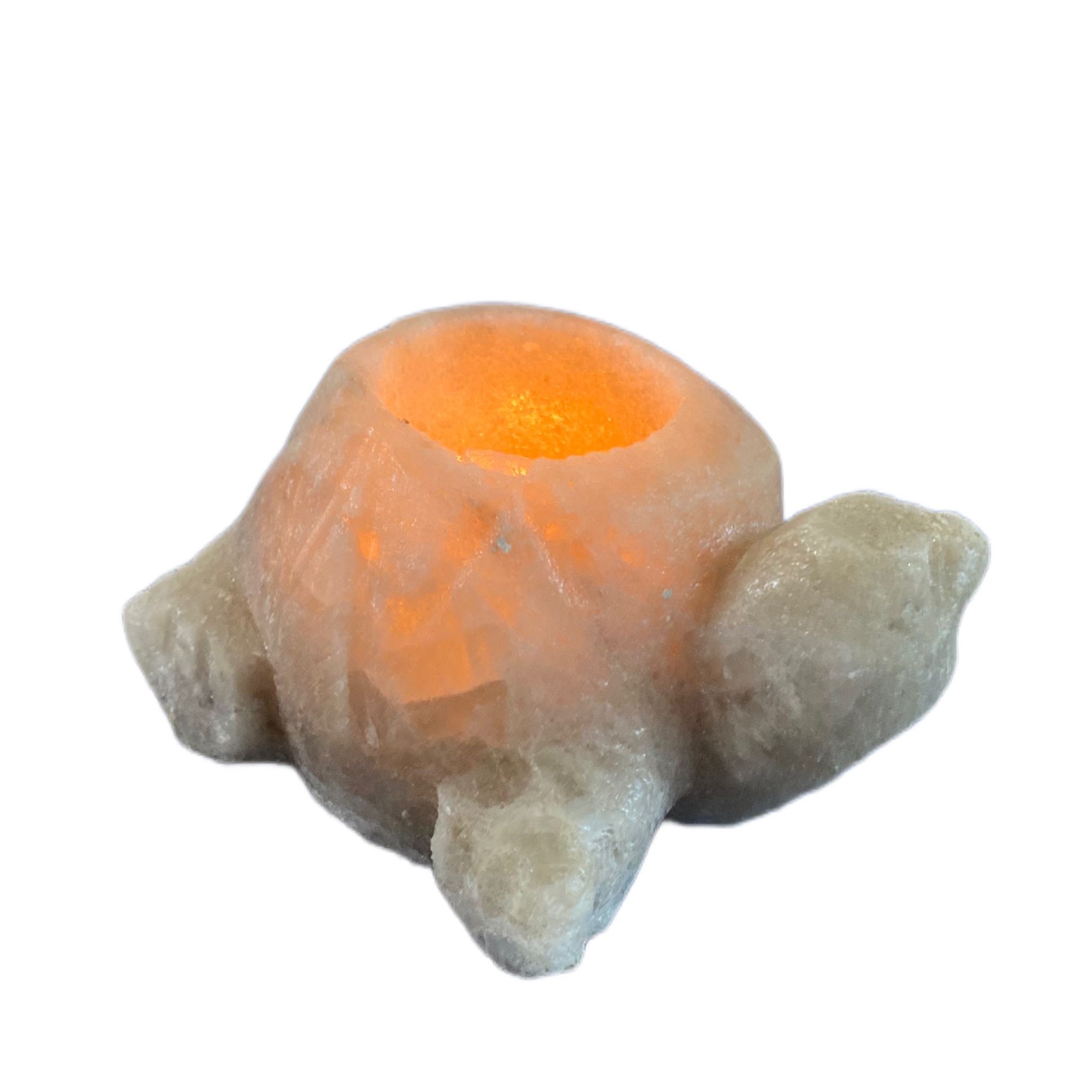 Portacandele  tartaruga sale grigio