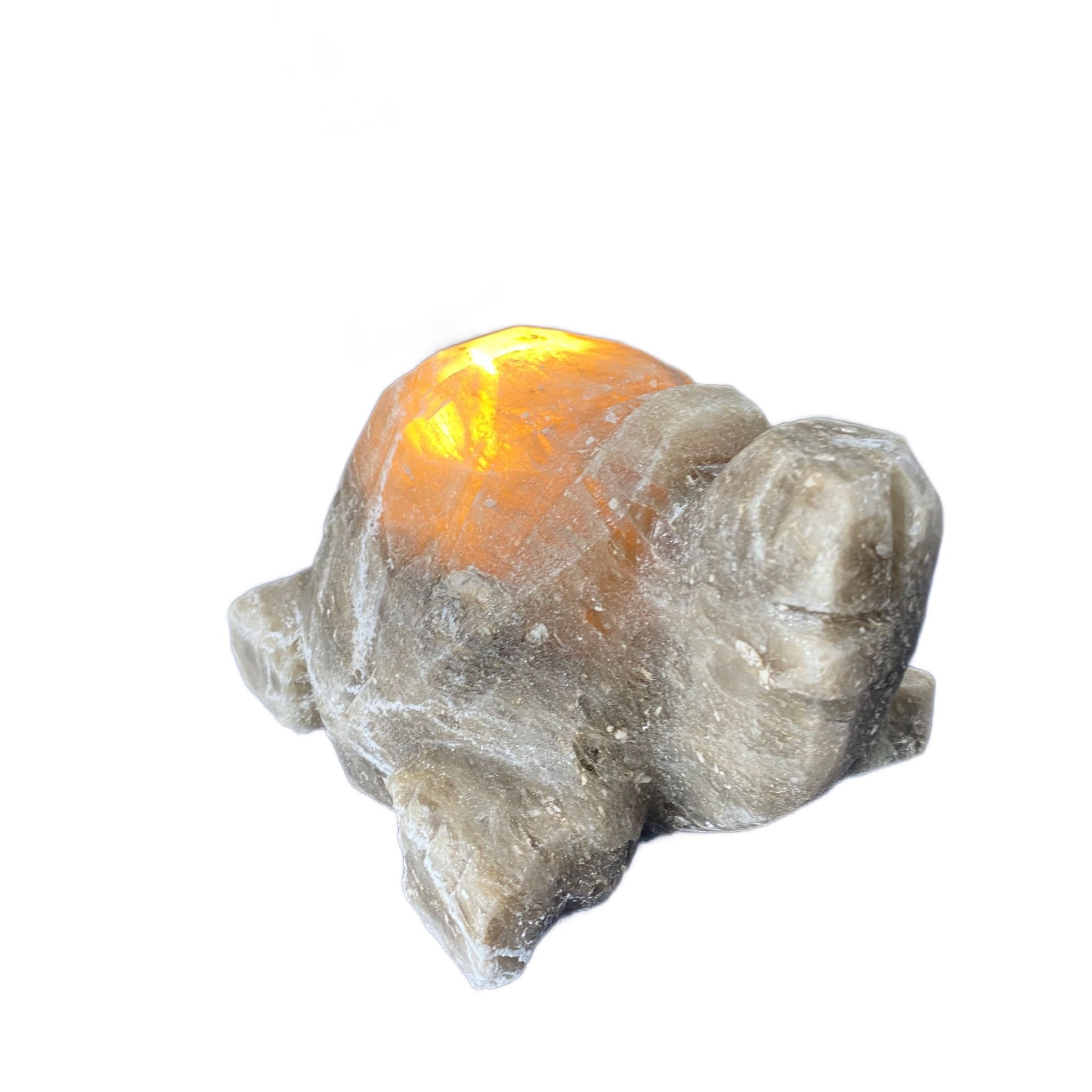 Lampada tartaruga di sale grigio Himalaya