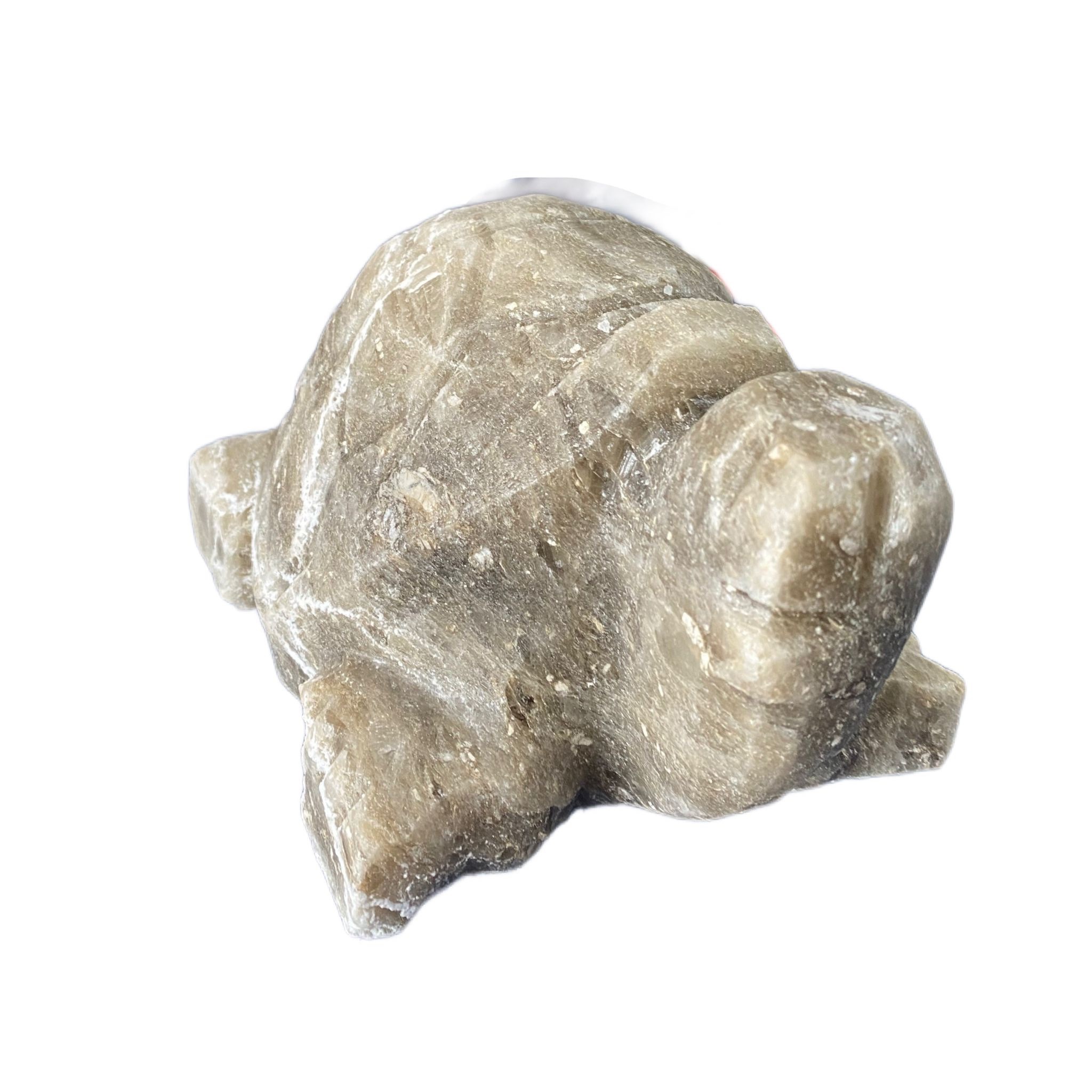 Lampada tartaruga di sale grigio Himalaya - immagine 2